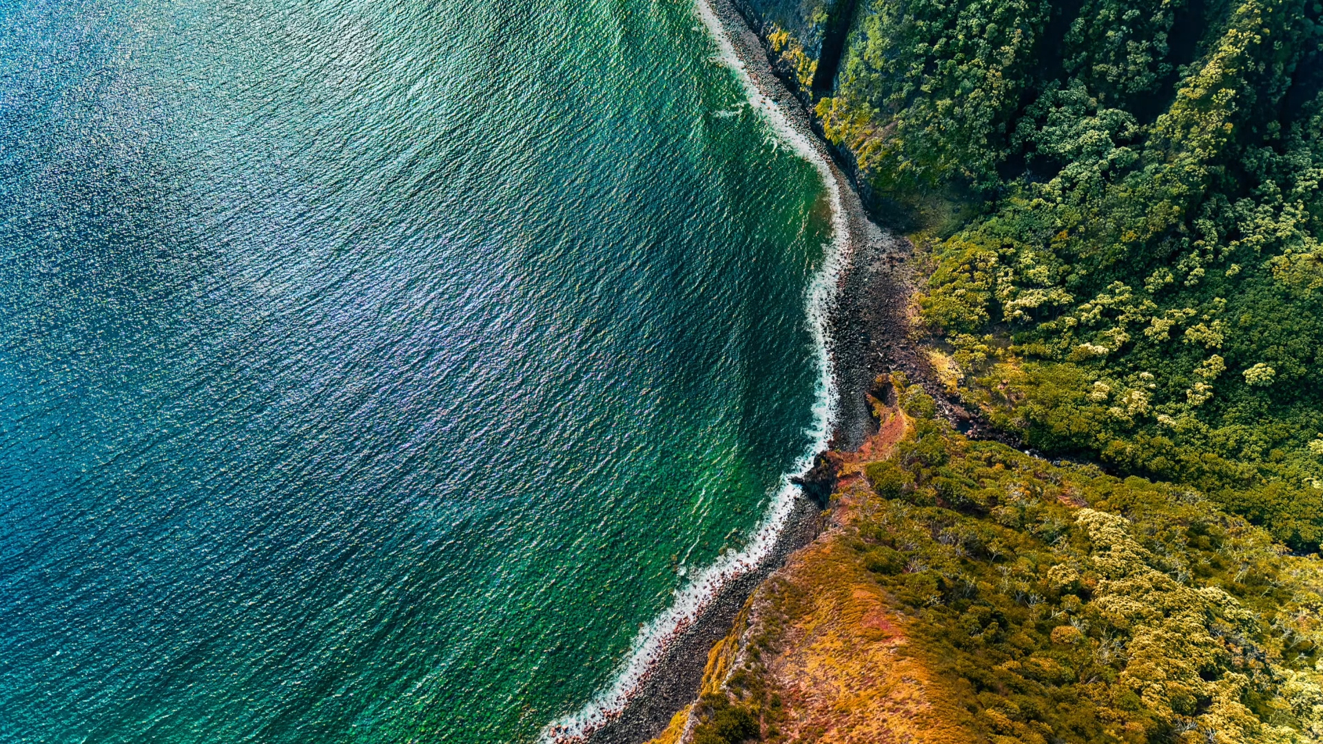 Apple iPhone 14 Pro - Image 14